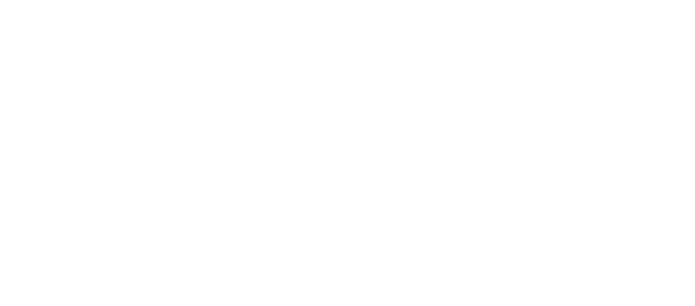 Association of Professional School of International Affairs